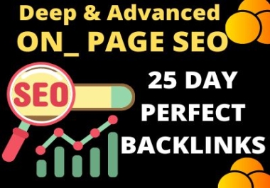 I will do full on page SEO and Technical optimization for WordPress