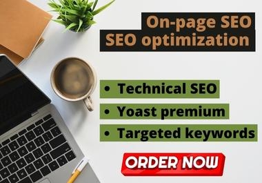 I will do on page SEO and technical optimization on your website