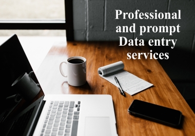I will provide professional and prompt data entry service