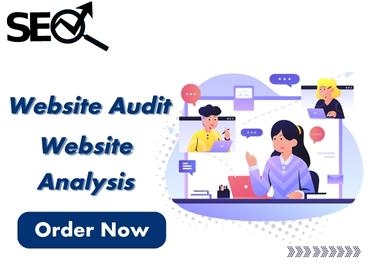I will give website audit report and website analysis.