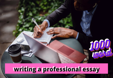 writing a professional essay in all fields 1000 words outstanding SEO