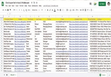 I will collect B2B,  B2C leads for your business.