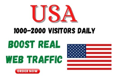 Daily 500+ USA Web Traffic to your website or Blogs for a month