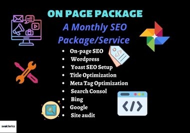 I will do monthly on page SEO services