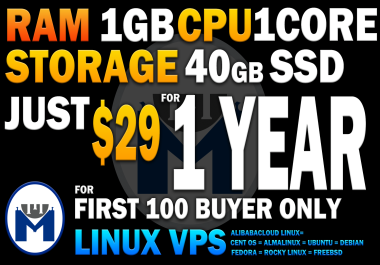 Promo 1 Year VPS LINUX 1GB ram 1 core 40Gb SSD
