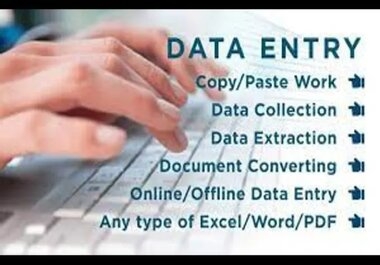 I will do fast accurate data entry