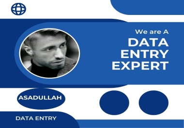 I am a professional data entry expert