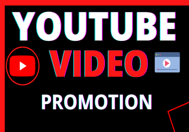 I will provide organic You Tube video promotion