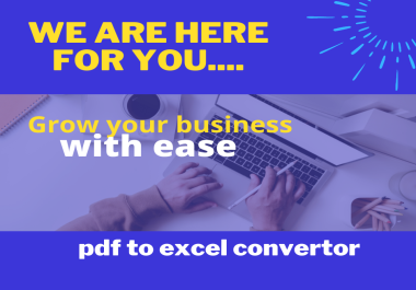 I am a Professional pdf to excel convertor with good records