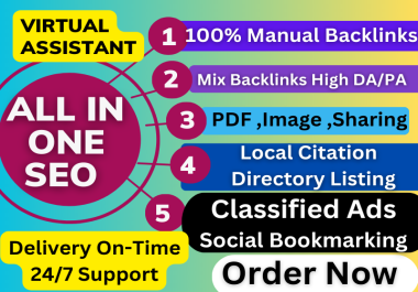 All In One SEO service and 100 manual mix backlinks, link building