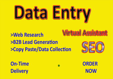 I will do 100 data entry,  data mining, Virtual Assistant and web research B2B lead Generation