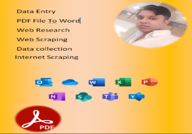 I Well Data Entry Expert PDF File to MS Word,  Excel and Data Scraping Web Research
