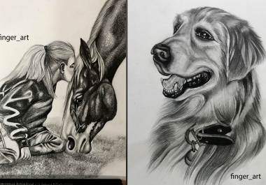 I will draw pencil sketch. Portrait of your dog,  cat,  bird,  animal
