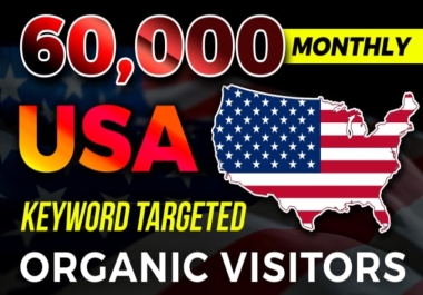 I will target google USA organic web traffic views