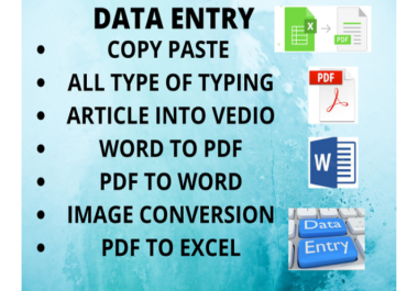 I will do accurate data entry and copy paste job.