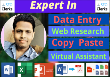 I Will Do Flawless and Speedy Data Entry,  Web Research and Copy Paste Job