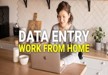 I will do data entry,  web research,  typing,  copy paste,  excel data entry 24hrs express