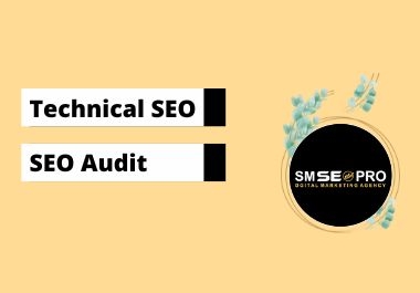 I will do a full technical SEO audit of your site