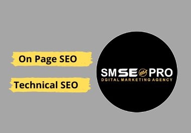 I will do technical optimization and on page SEO for WordPress sites