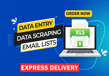I will do excel data entry,  data mining,  copy paste,  web research and web scraping