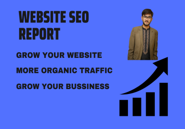 I will provide a professional SEO audit report of your website