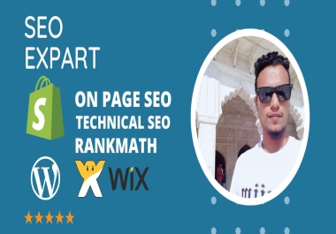 I will be your SEO expert providing monthly professional service