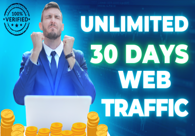 I will Provide 30000 real targeted USA UK traffic for your website