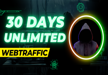 I will provide you 7000 USA country targeted traffiic