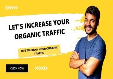 Lets increase your 100k organic traffic of germany usa us