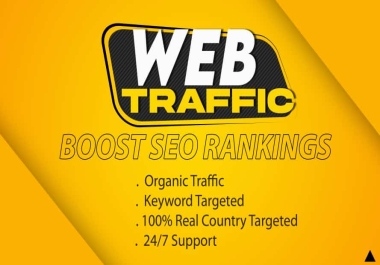 I will provide 10k USA targeted organic web traffic