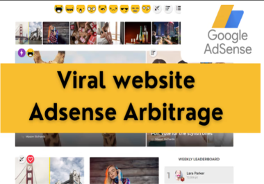 I will create complete viral adsense arbitrage website