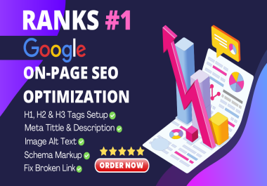 I will do On Page SEO and technical optimizations of your wordpress website