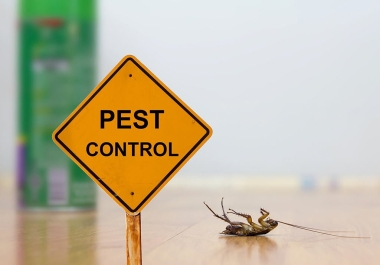 I will write excellent articles on pest control and cleaning