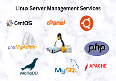 Linux Server Management Services.