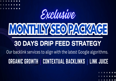 I will Create Monthly SEO Package For SERP Ranking