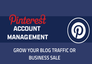 I will create SEO boards,  pins,  as a Pinterest Manager for your blog or business