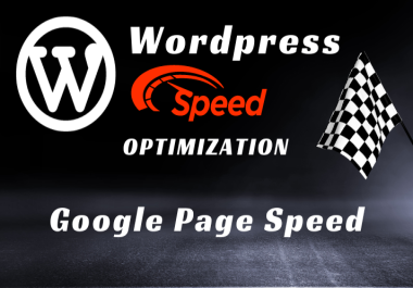 Speed Up Your Wordpress Website By Google Page Speed And Gtmetrix