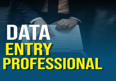 Data Entry professional providing fastest delivery