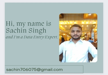 I will do data entry from basic to advance level for you.
