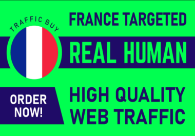 I will bring 8K france organic web traffic