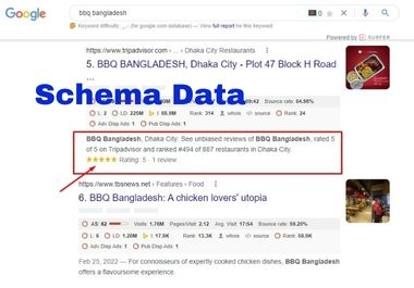 I will advance rich snippets schema structured data all website