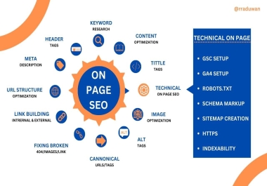 I will provide SEO on page optimization and technical on page for any website