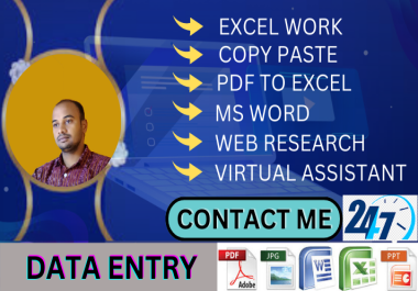 I will do professional data entry,  web search,  copy paste,  excel work