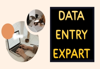 Data Entry Expert & professional 10 years experience