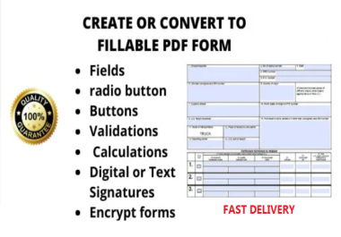 I will create,  design,  edit Microsoft MS word document and Fillable PDF