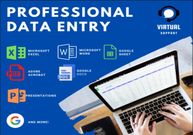I will do excel data entry,  copy-paste,  typing,  data entry