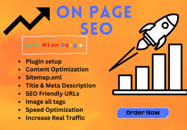 I will provide on-page SEO Optimization for Google ranking