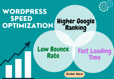 I will do wordpress Speed Optimization with Gtmetrix and increase page speed
