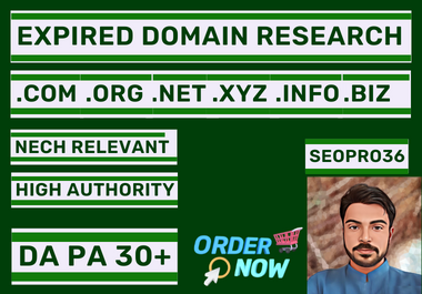 1 Expired domain researching about your niche relevant DR 30