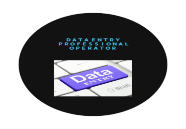 I am a Data entry professional operatior
